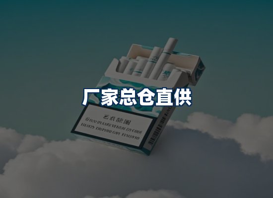 专业团队办公环境
